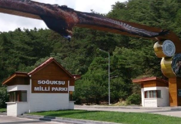anadoluyugeziyorum.com