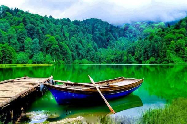 karagol sahara artvin