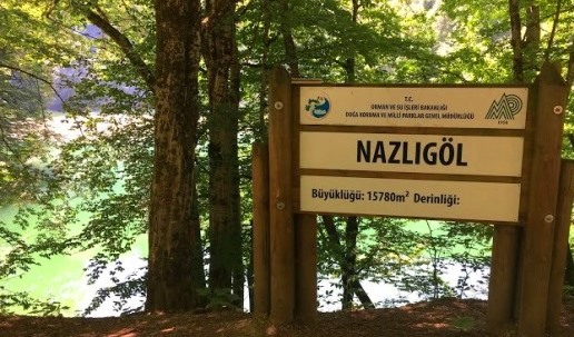 yedig&ouml;ller
