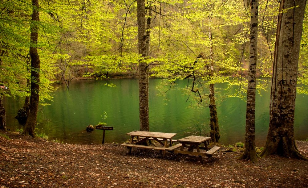 Karadeniz'de Kamp Yapılacak 15 Yer