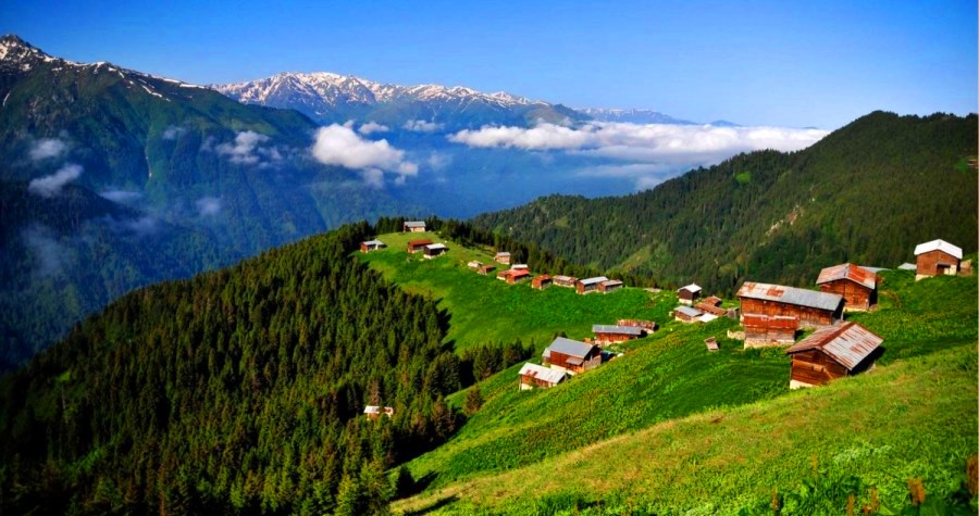 Pokut Yaylası