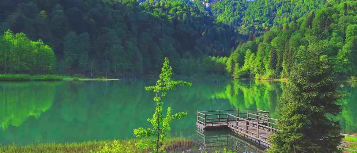 Artvin'de Yaşam